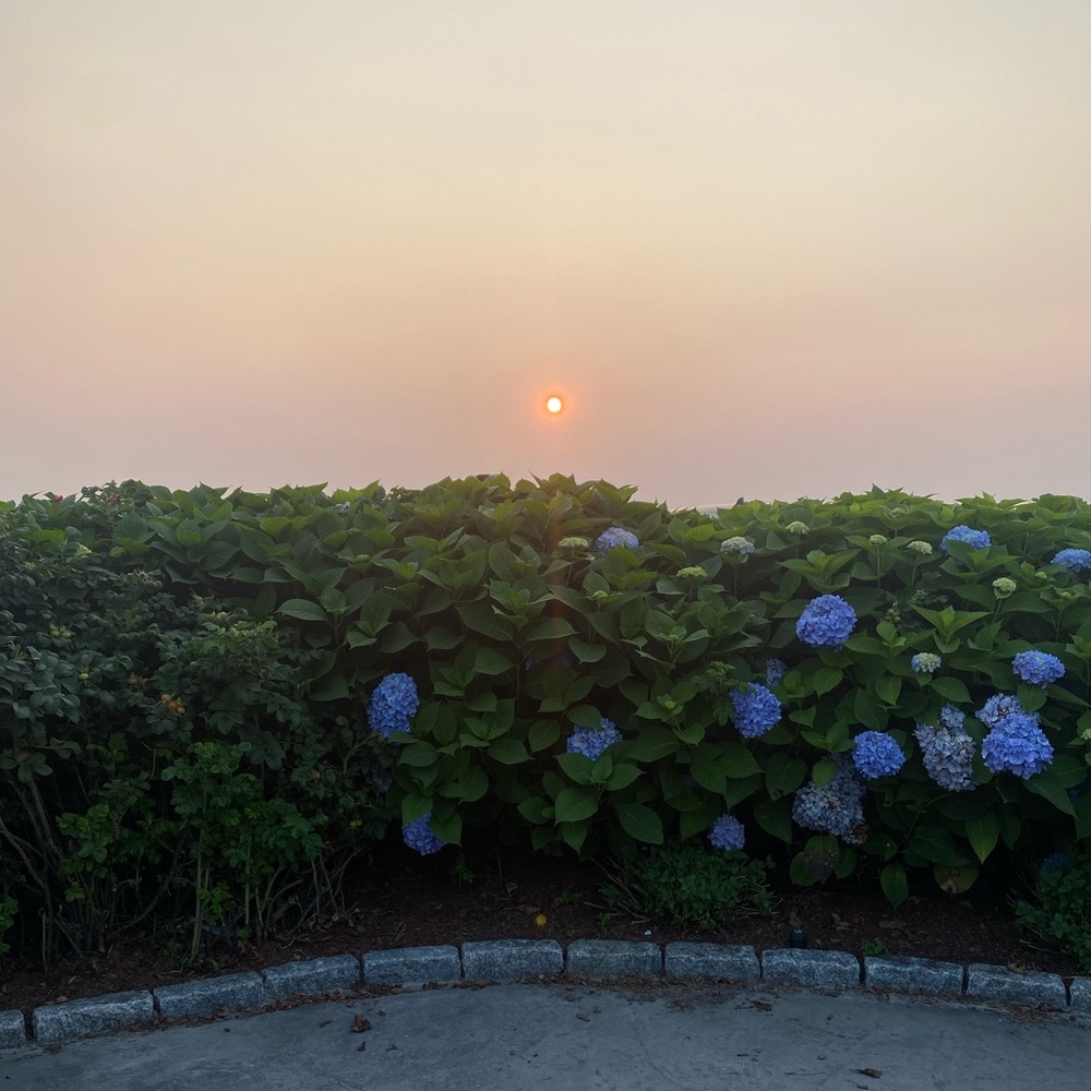 Meet your Posher, Logan